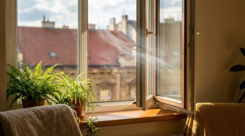 malá úprava při větrání může významně snížit riziko vzniku plísní ve vašem domově.